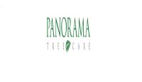Panorama Tree Care: Tampa Tree Services image 1
